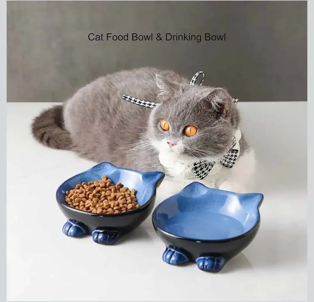 Nihow Ceramic Basic Cat Bowl: 5 Inch Cat Dish for Food & Water - Food Grade, Mic